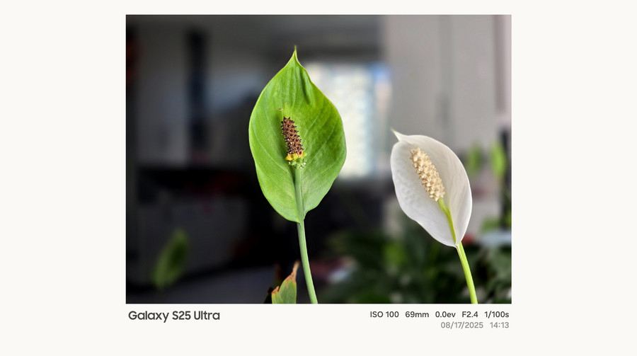 Samsung додасть водяний знак для фото, як на китайських смартфонах