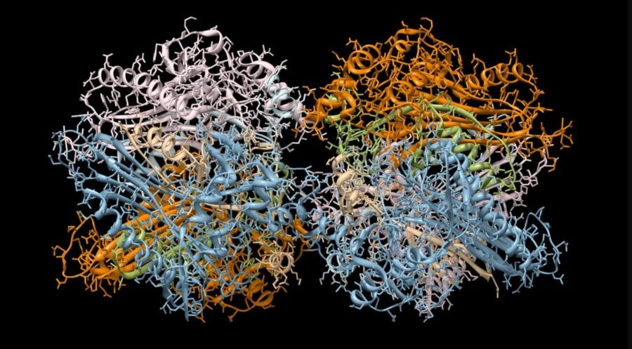 Штучний інтелект DeepMind передбачив 3D-структури «всього білкового всесвіту»